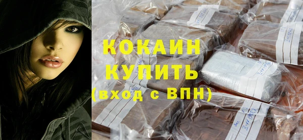 прущий лед Алзамай