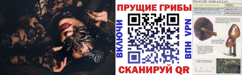 Галлюциногенные грибы прущие грибы  OMG зеркало  Берёзовский 